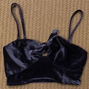 Small velvet free people crop top